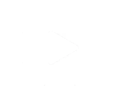 Search Functionality Icon